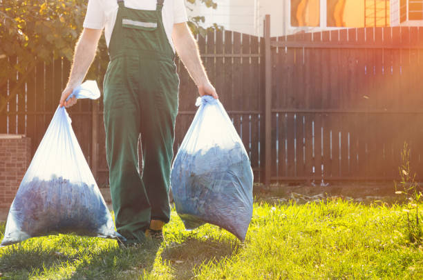 Yard Cleanup Services in Lakeland, MN
