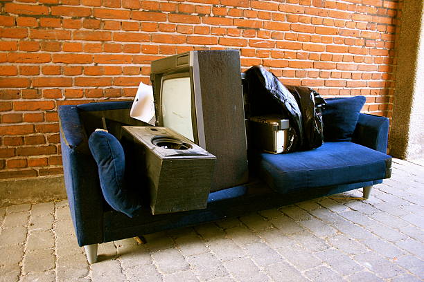 Best Junk Hauling Services  in Lakeland, MN